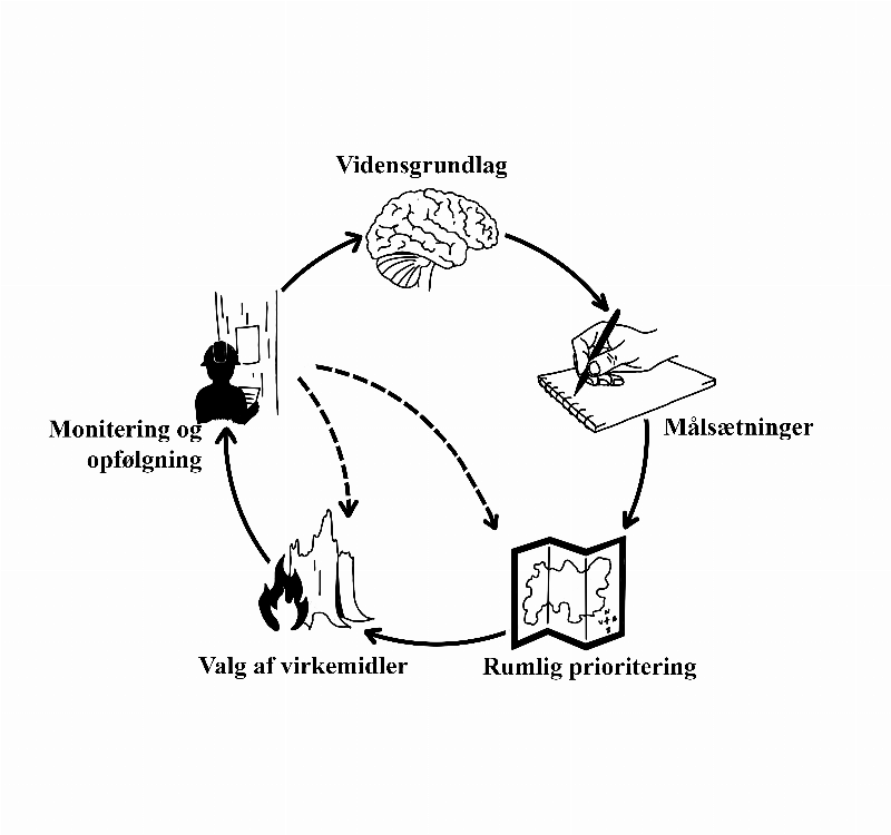 Procedure for udvikling af forvaltningsplan